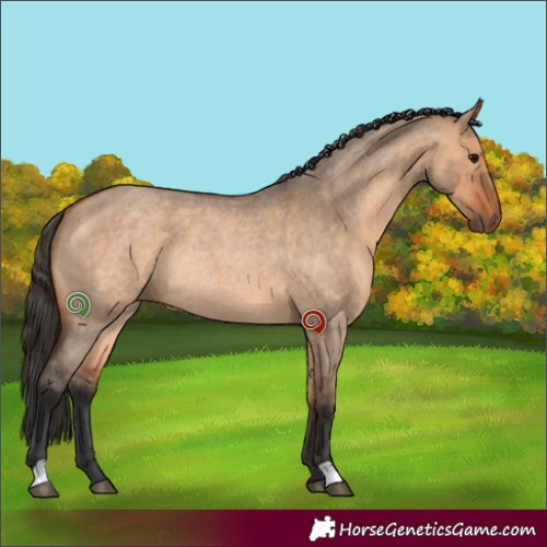 Horse Color:Bay Roan Dun Rabicano 