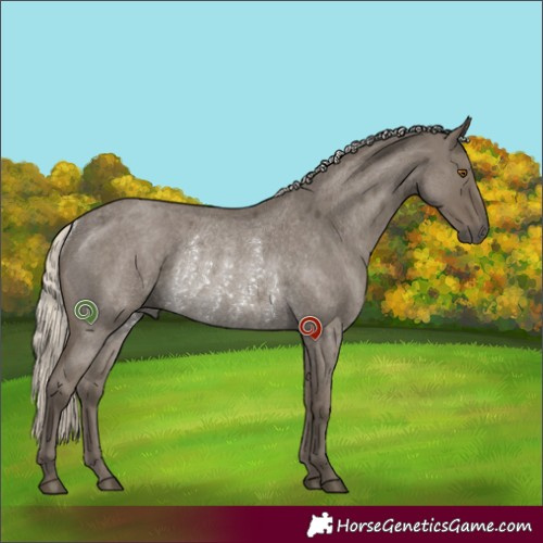 Horse Color:Silver Smoky Grullo Roan Rabicano 