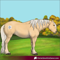 Horse Color:Palomino 