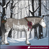 Horse Color:Grullo Sabino Splash  and Grullo Sabino Splash 