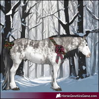 Horse Color:Grullo Sabino Splash  and Grullo Sabino Splash 