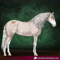 Horse Color:Silver Sable Champagne Sabino Appaloosa