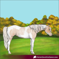 Horse Color:Silver Blue Roan Pearl Tobiano Frame