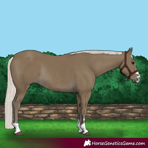 Horse Color:Silver Smoky Black Rabicano 