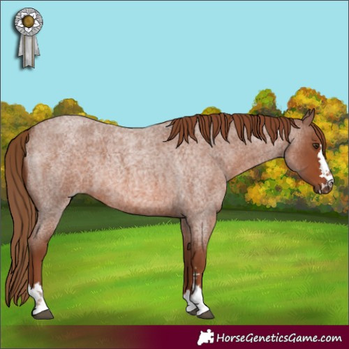 Horse Color:Red Roan 