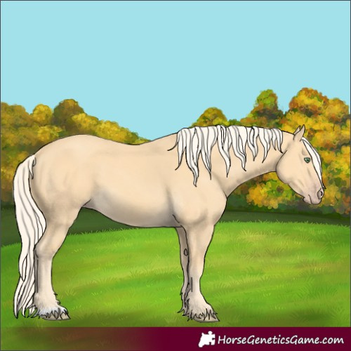 Horse Color:Gold Cream Champagne 