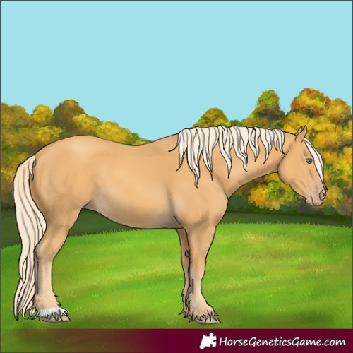 Horse Color:Gold Cream Champagne 