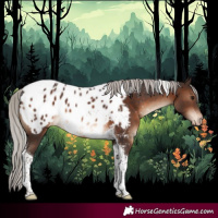 Horse Color:Silver Brown Tobiano Near Leopard 