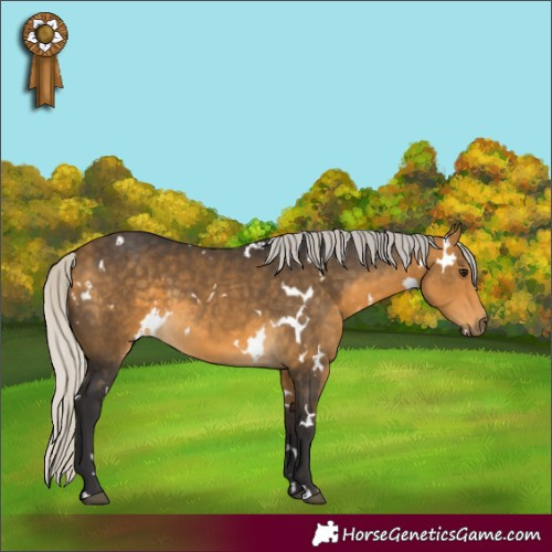 Horse Color:White Spotted Silver Buckskin
