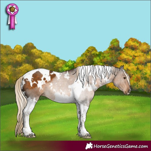 Horse Color:White Spotted Chocolate Palomino Tobiano 