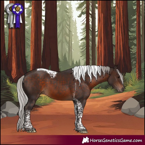 Horse Color:Silver Brown Tobiano 