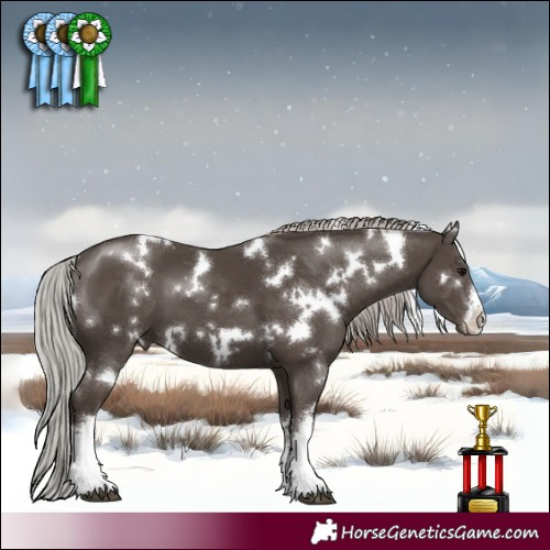 Horse Color:White Spotted Silver Black Mushroom 