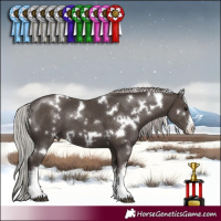 Horse Color:White Spotted Silver Black Mushroom 