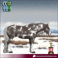 Horse Color:White Spotted Silver Black Mushroom 