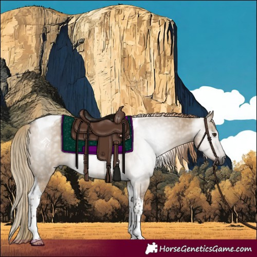 Horse Color:Gray Liver Red Dun Tobiano 