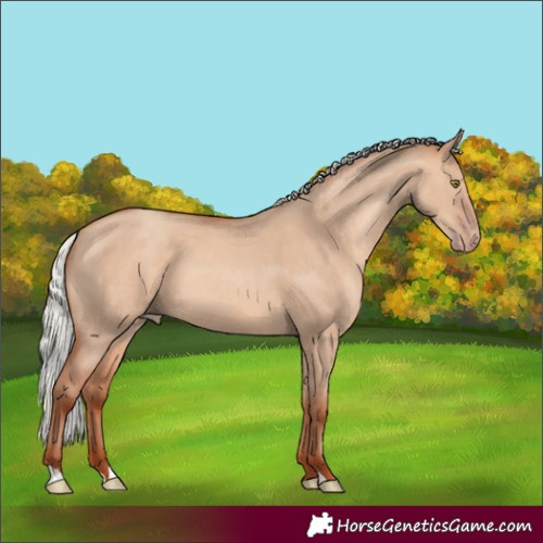 Horse Color:Silver Sable Champagne Dun 