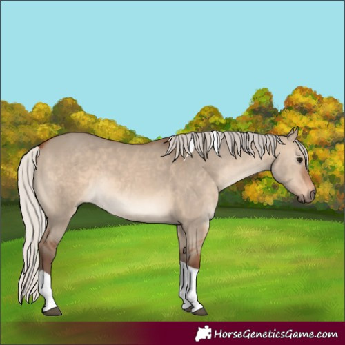 Horse Color:Silver Brown Dun Tobiano 