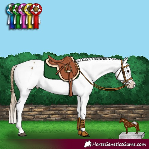 Horse Color:Buckskin Snowflake Varnish 