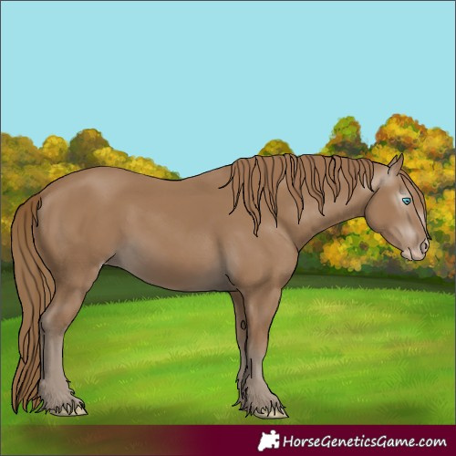 Horse Color:Gray Smoky Creme 