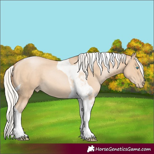 Horse Color:Silver Buckskin Pearl Tobiano