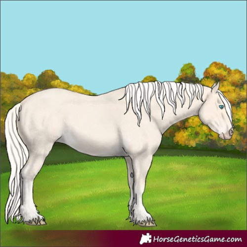 Horse Color:Cremello Roan 