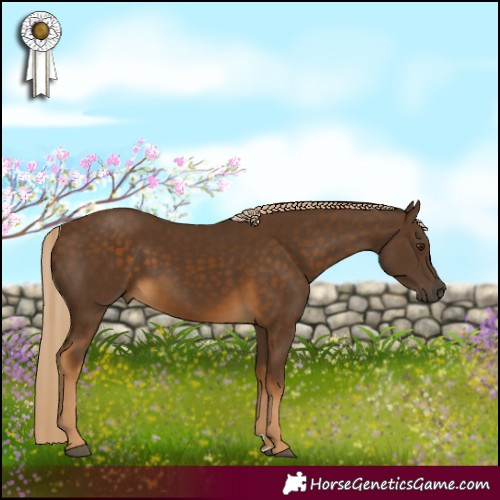 Horse Color:Chocolate Palomino 