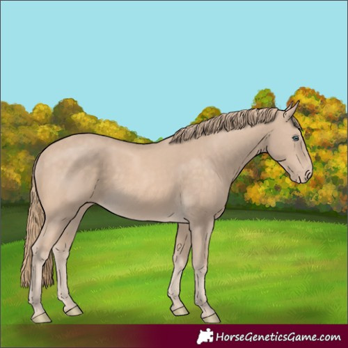 Horse Color:Perlino 