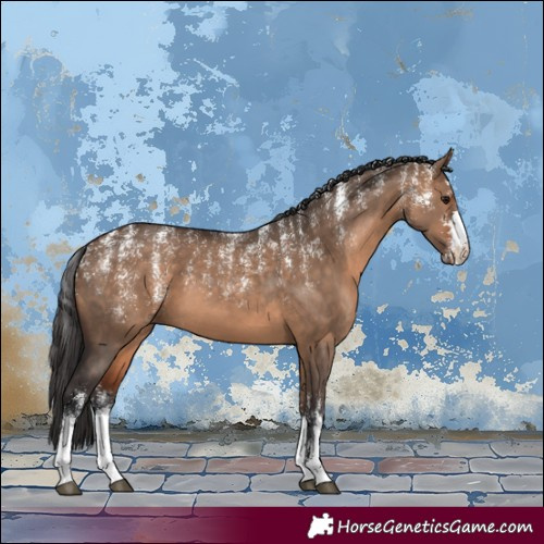 Horse Color:Powder White Brown Dun and Powder White Bay Dun