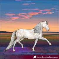 Horse Color:Chocolate Palomino Pearl Dun Tobiano Frame  and Gray Chocolate Palomino Pearl Dun Tobiano Frame 