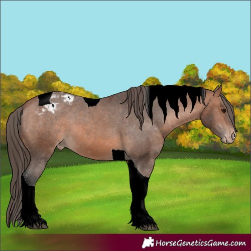Horse Color:Bay Tobiano Varnish 