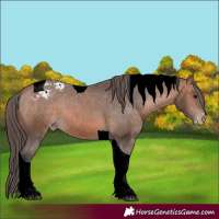 Horse Color:Bay Tobiano Varnish