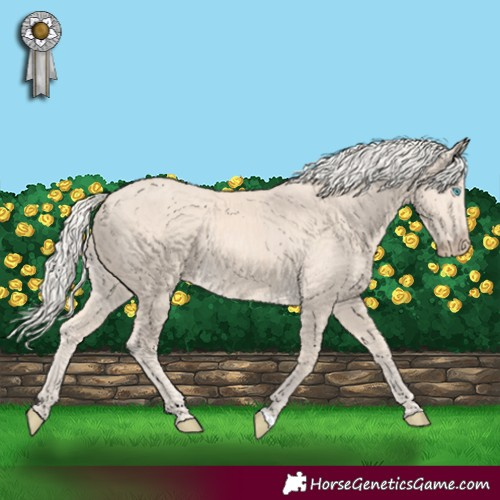 Horse Color:Cremello Rabicano