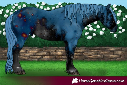 Horse Color:ERROR: UNKNOWN ANOMALY