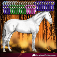Horse Color:Buckskin Dun Mushroom Sabino Splash 