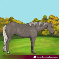 Horse Color:Silver Black 