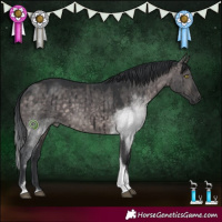 Horse Color:Platinum Brown Dun Tobiano Rabicano Brindle