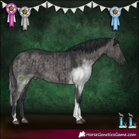 Horse Color:Platinum Brown Dun Tobiano Rabicano Brindle 