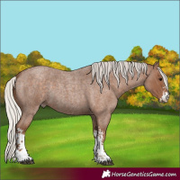 Horse Color:Silver Blue Roan Sabino 