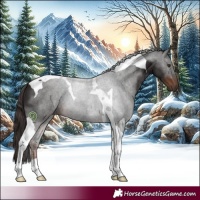 Horse Color:Liver Chestnut Tobiano 