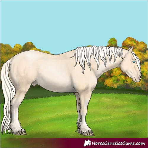 Horse Color:Palomino Pearl 