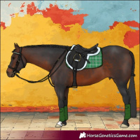 Horse Color:Brown 