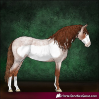 Horse Color:Red Roan Frame 