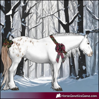 Horse Color:Buckskin Dun Appaloosa and Buckskin Dun Appaloosa