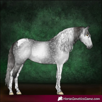 Horse Color:Gray Liver Chestnut Tobiano 