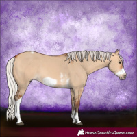 Horse Color:Silver Bay Dun Sabino Tobiano Frame Rabicano 