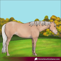 Horse Color:Silver Amber Champagne Frame 