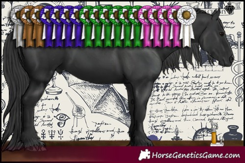 Horse Color:Black 