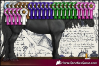 Horse Color:Black 