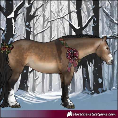Horse Color:Gray Brown Dun Sabino