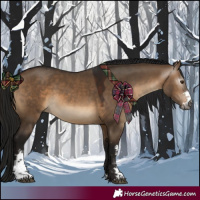 Horse Color:Gray Brown Dun Sabino 